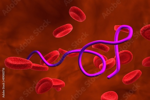 Three-dimensional drawing of Borrelia bacteria in blood with red blood cells, model of microbes, bacteria which cause relapsing fever, Lyme disease, transmitted by ticks, spiral bacteria, spirochaetes photo