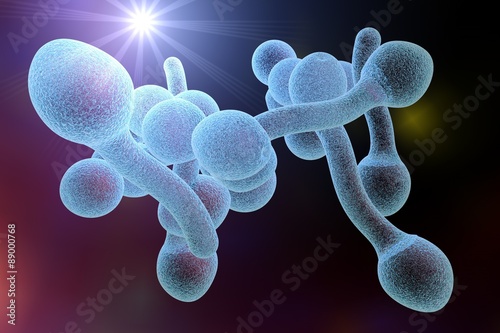 Digital illustration of fungi Candida albicans which cause candidiasis. Pathological fungus or yeast. Microscopic view. Medical background. Healthcare background