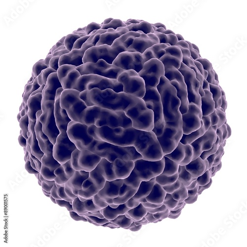 Digital illustration of Dengue virus isolated on white background. A model is built using data of viral macromolecular structure furnished by Protein Data Bank (PDB 3J 27) photo