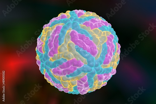 Digital illustration of Dengue virus. A model is built using data of viral macromolecular structure furnished by Protein Data Bank (PDB 3J 27) photo