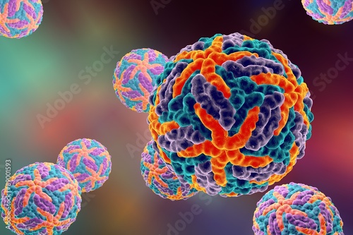 Digital illustration of Dengue virus. A model is built using data of viral macromolecular structure furnished by Protein Data Bank (PDB 3J 27) photo