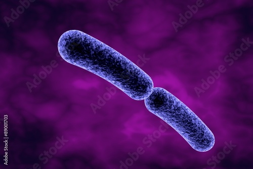 Klebsiella pneumoniae. Three-dimensional drawing of rod-shaped bacteria, model of bacteria, realistic illustration of microbes, microorganisms, background with bacteria, diplobacilli photo