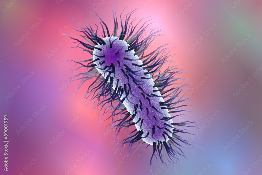 Microscopic view of Escherichia coli, Salmonella, enteric bacteria on colorful background, model of bacteria which cause diarrhea, illustration of microbe, microorganisms, rod-shaped bacteria