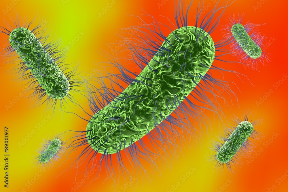 Fototapeta premium Microscopic view of Escherichia coli, Salmonella, enteric bacteria on colorful background, model of bacteria which cause diarrhea, illustration of microbe, microorganisms, rod-shaped bacteria