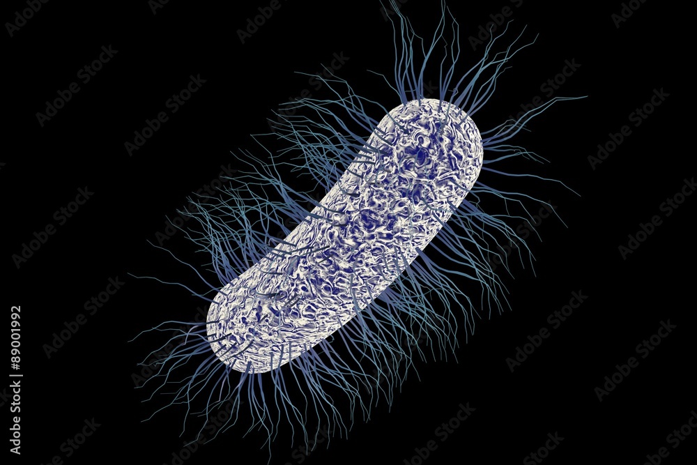 Threedimensional drawing of Escherichia coli isolated on black
