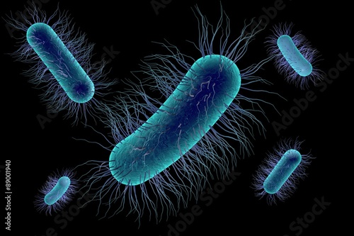 Three-dimensional drawing of Escherichia coli isolated on black background, model of bacteria, realistic illustration of microbes, microorganisms, rod-shaped bacteria