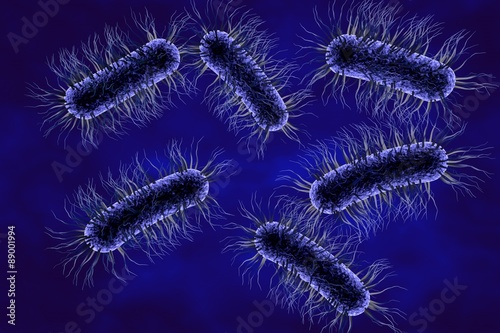 Microscopic view of Escherichia coli  Salmonella  enteric bacteria on colorful background  model of bacteria which cause diarrhea  illustration of microbe  microorganisms  rod-shaped bacteria