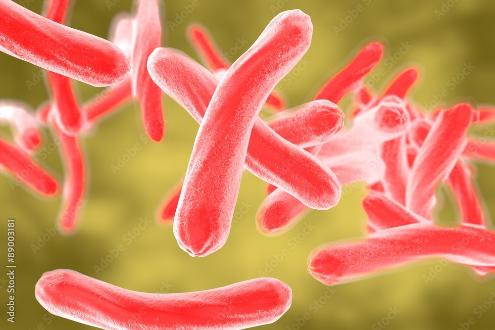 remark calculate good Microscopic view of Mycobacterium tuberculosis, model of bacteria,  realistic illustration of microbes, microorganisms, rod-shaped bacteria,  bacterium which causes tuberculosis Stock Illustration | Adobe Stock