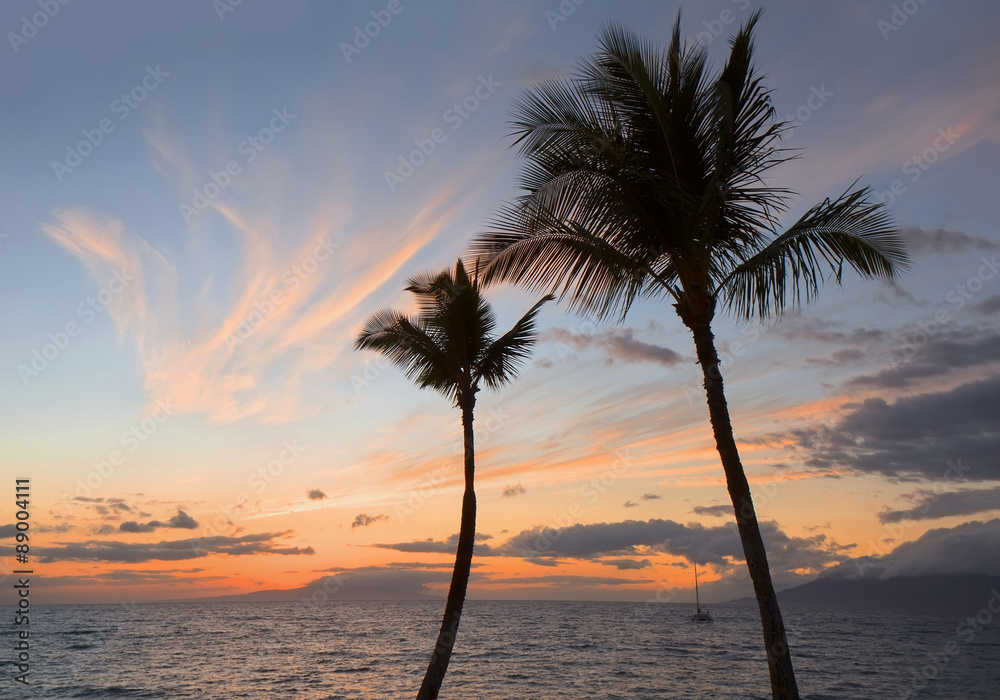 Tropical sunset with palm trees silhouette