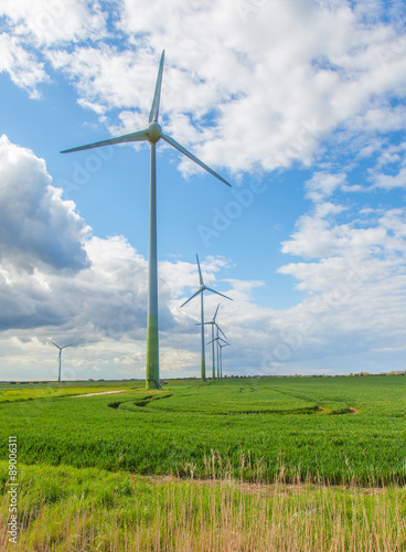 Wind farm with green field