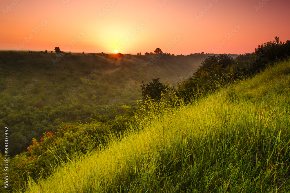 Fototapeta premium Landscape sunrise at summer. Foggy morning on meadow.