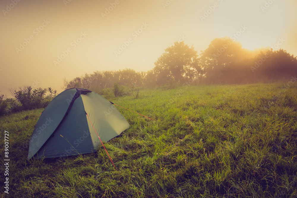 Tourist tent on green meadow at sunrise. Camping background. Freedom concept.
