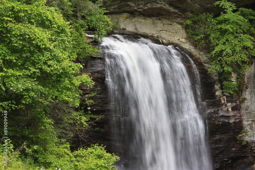 Looking Glass Falls in the Summer Looking Glass Falls in the Summer