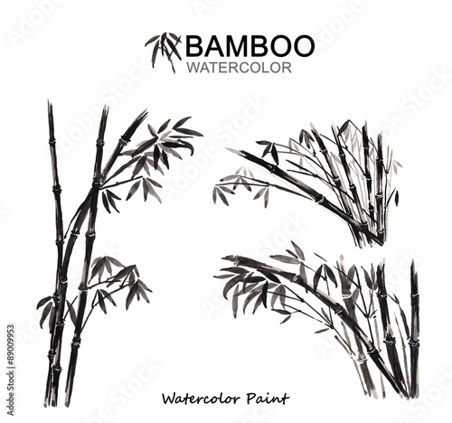 Watercolor paint bamboo, Isolated on white background, high resolution
