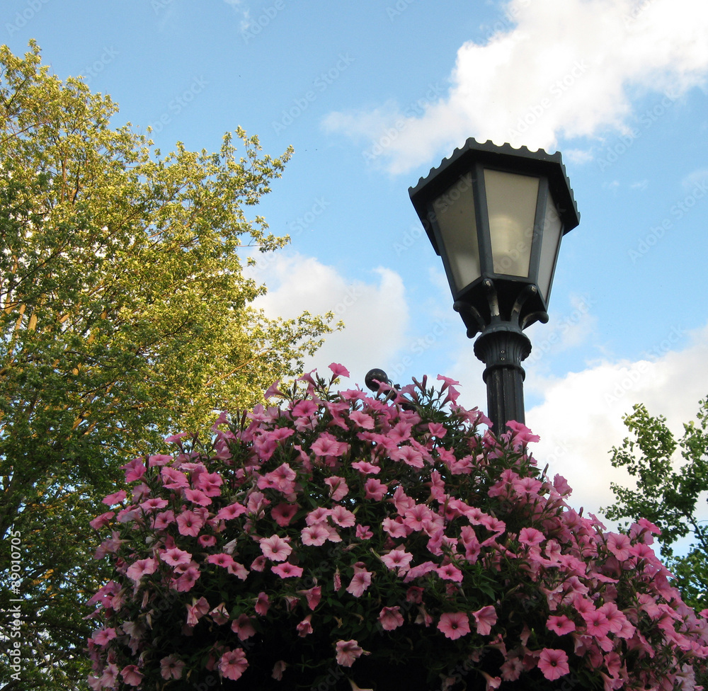 Bright pink petunias decorate an old-fashioned streetlight.