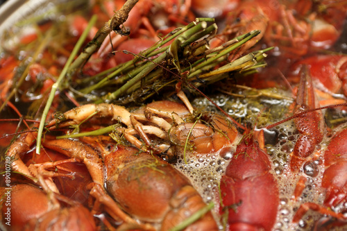 Cooking of crayfish with dill
