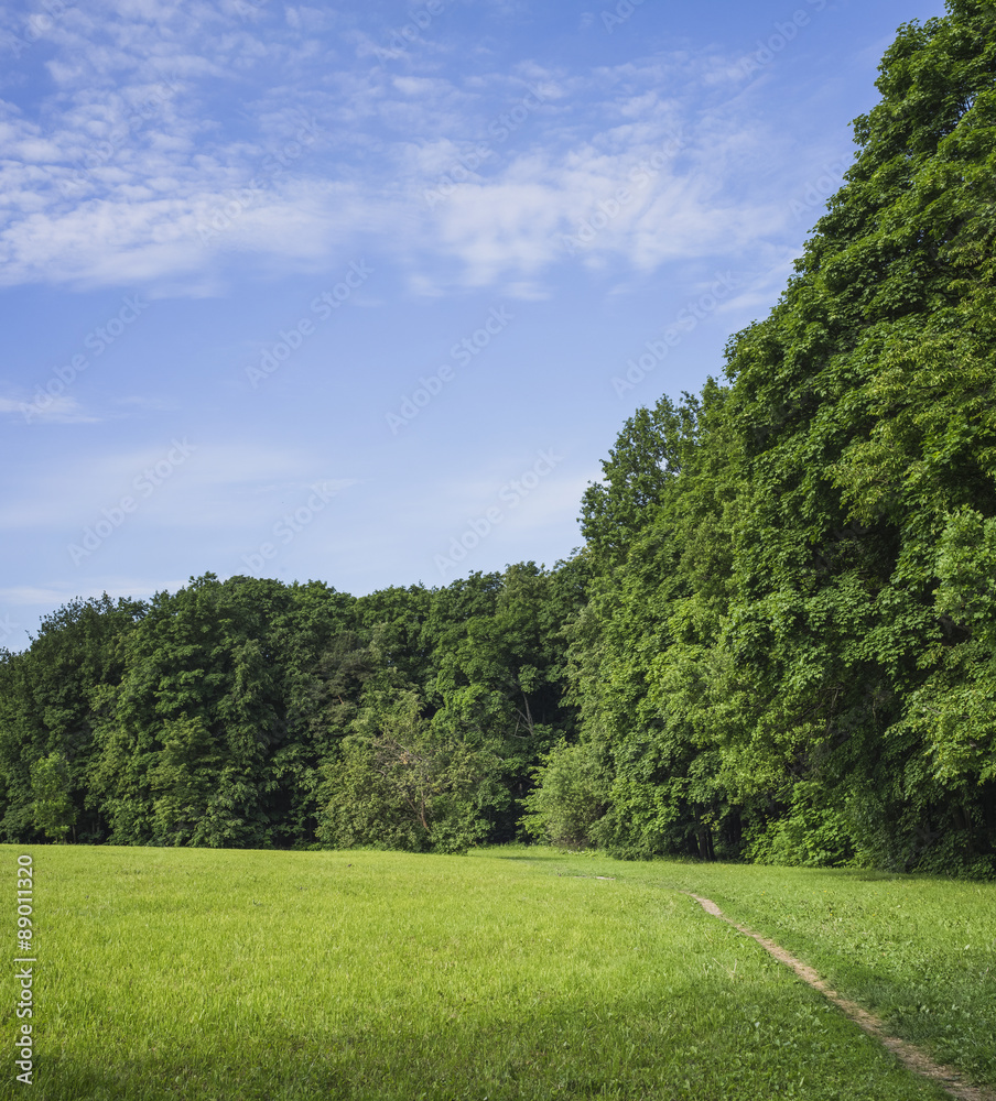 Footpath in deserted park in the summer.