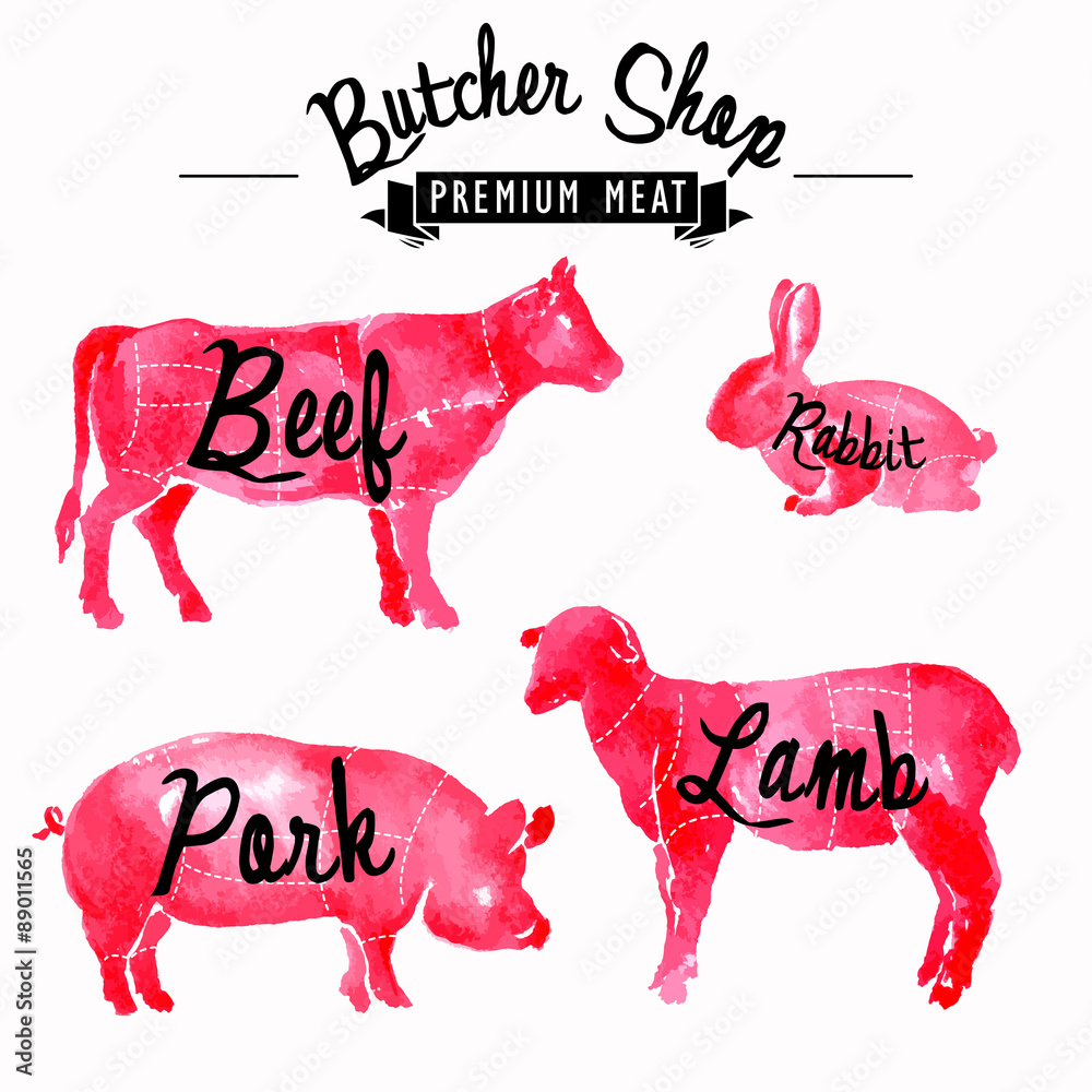 Meat symbols set pork, beef, lamb, rabbit, handdrawing Stock Vector