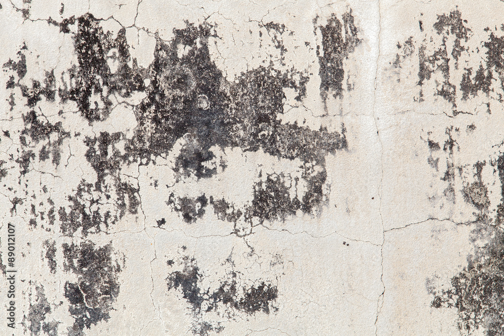 Fototapeta premium white concrete wall texture