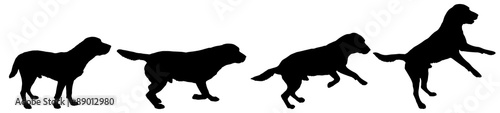 Vector silhouette of a dog.