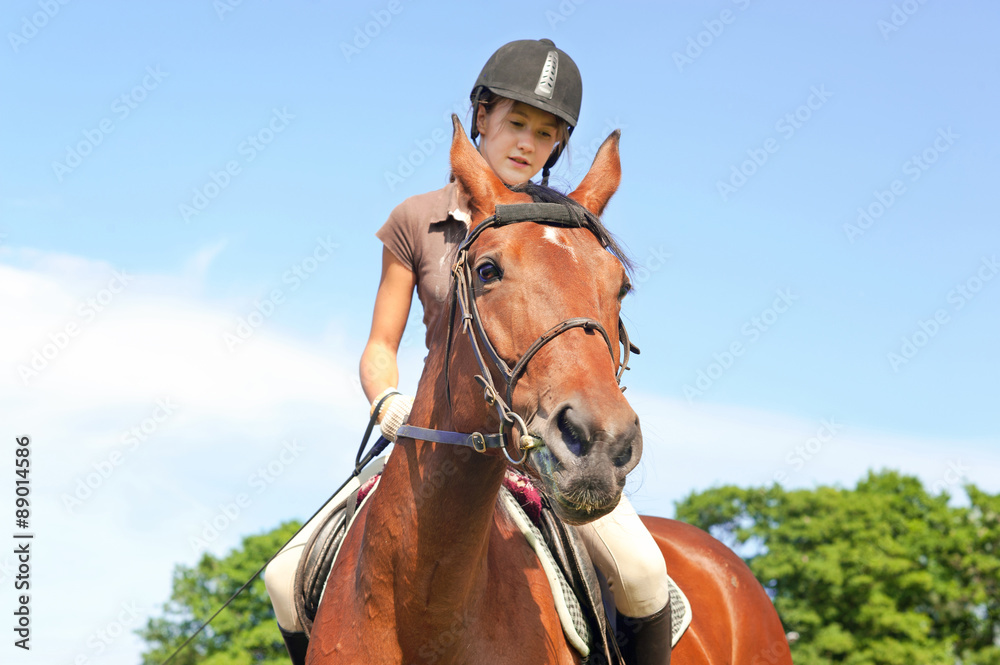 Teenage girl equestrian riding horseback. Vibrant summertime out