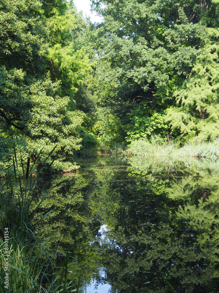 Spiegelung, Gewässer im Tiergarten, Berlin Spiegelung, Gewässer im Tiergarten, Berlin