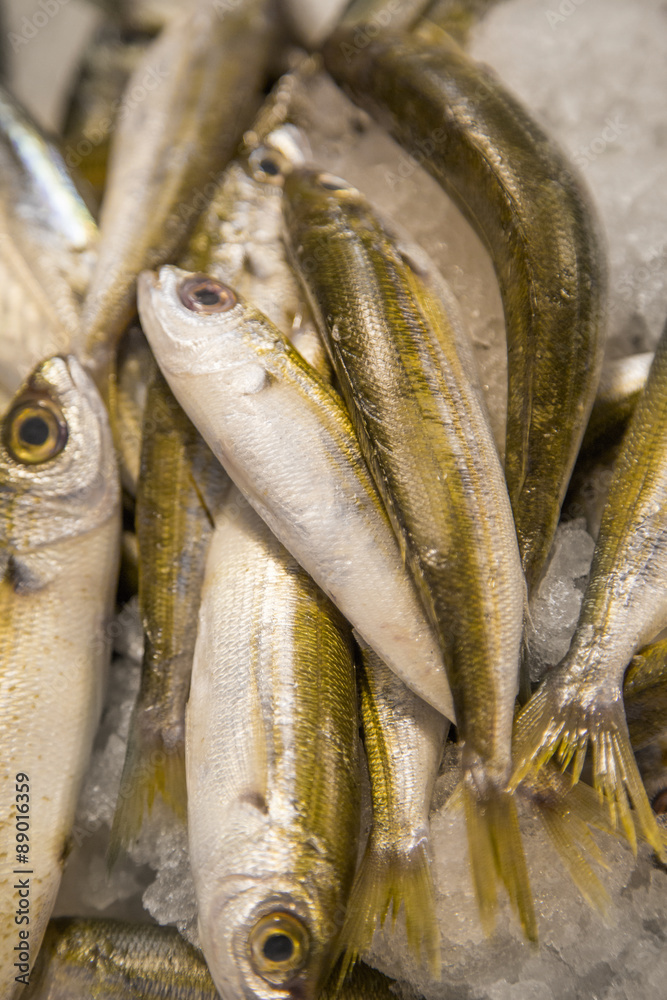 Fototapeta premium Fish