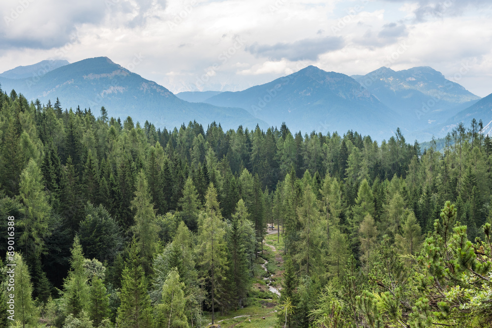 Fototapeta premium Beautiful view of nature in the italian dolomites
