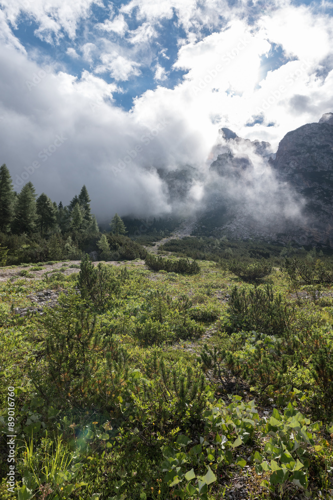 Beautiful view of nature in the italian dolomites