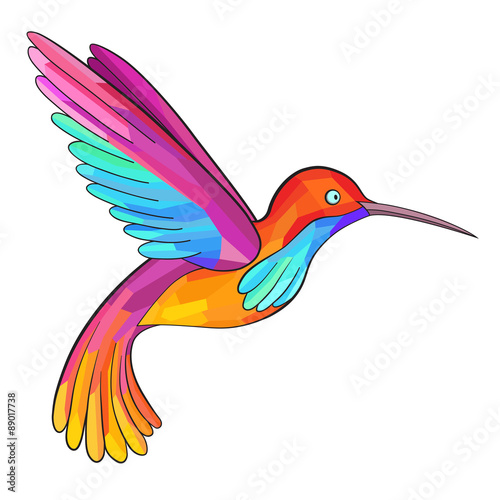 Colorful Colibri. Hummingbird. Great for company Logo.