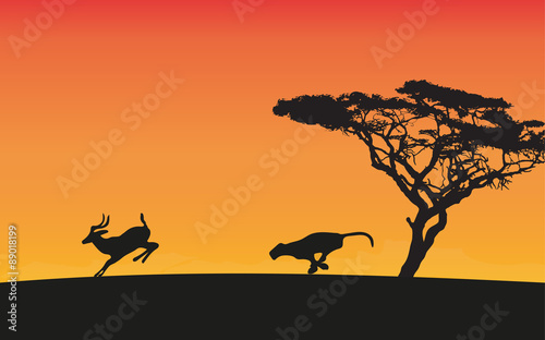Fototapeta Naklejka Na Ścianę i Meble -  animals of Africa