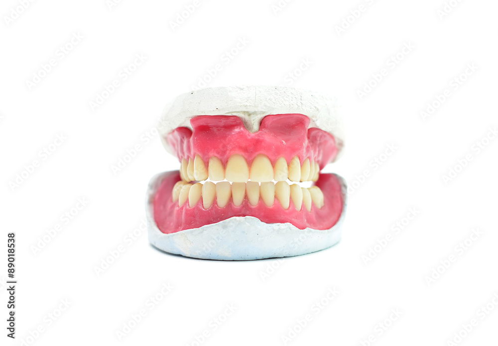 teeth mold teeth mold