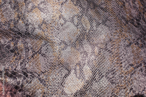 Slika na platnu Snake skin, reptile