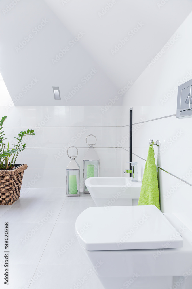 Fototapeta premium Close-up of toilet and bidet