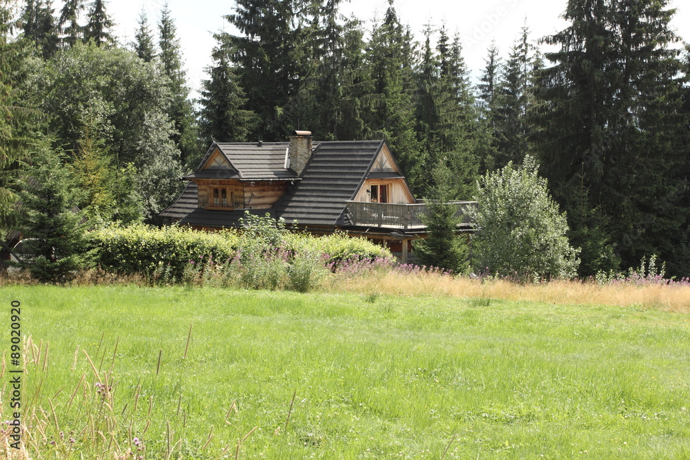 wooden house wooden house