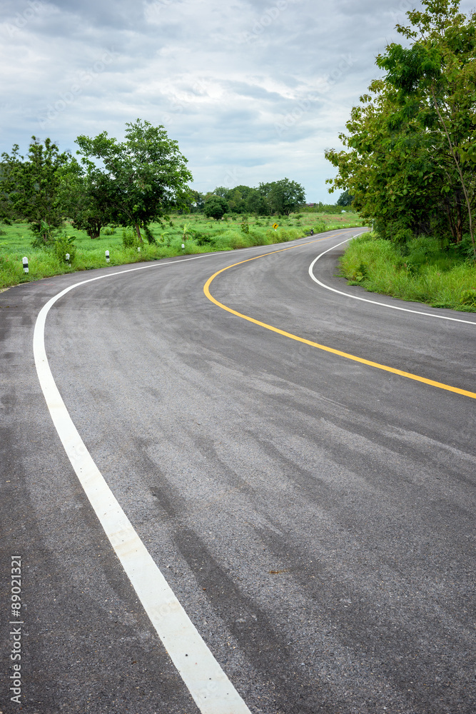 road in forest