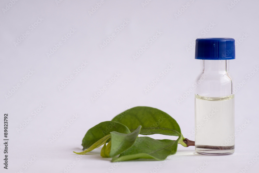 Sample vial and leaf Sample vial and leaf