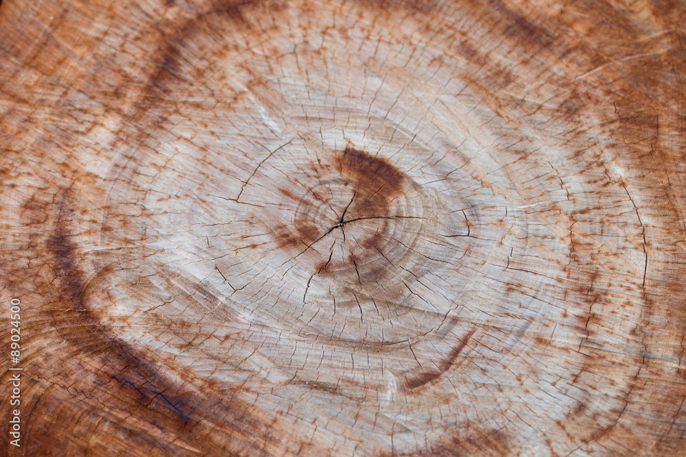 Naklejka premium Wood Texture