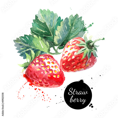 Hand drawn watercolor painting strawberry on white background