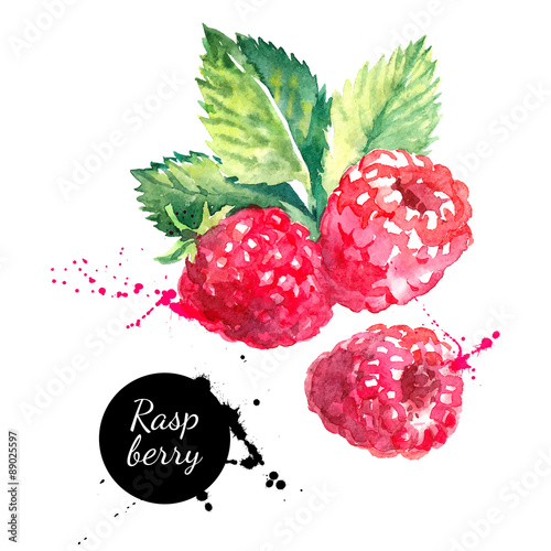 Hand drawn watercolor painting raspberry on white background