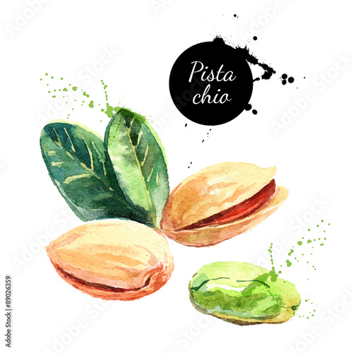 Hand drawn watercolor painting nut on white background