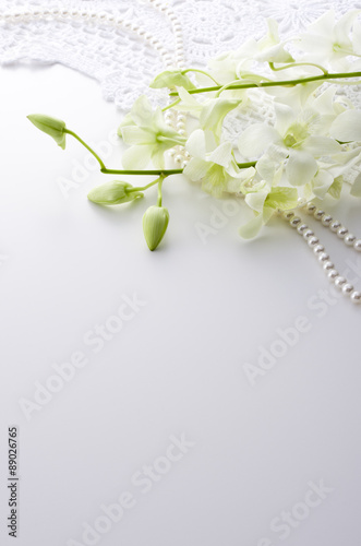 Fototapeta Naklejka Na Ścianę i Meble -  ラン
