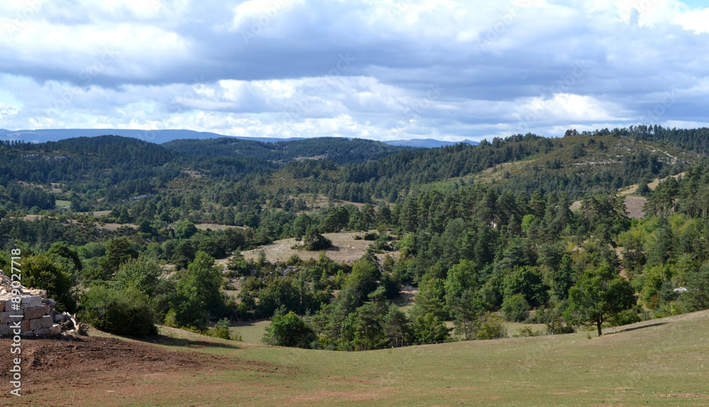 Les Causses, Parc naturel des Cévennes Les Causses, Parc naturel des Cévennes