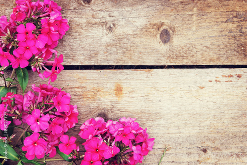 Natural wooden background with a corner made of bright pink phlox flowers