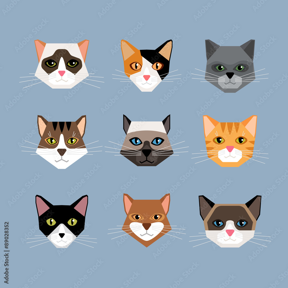 Cats heads in flat style