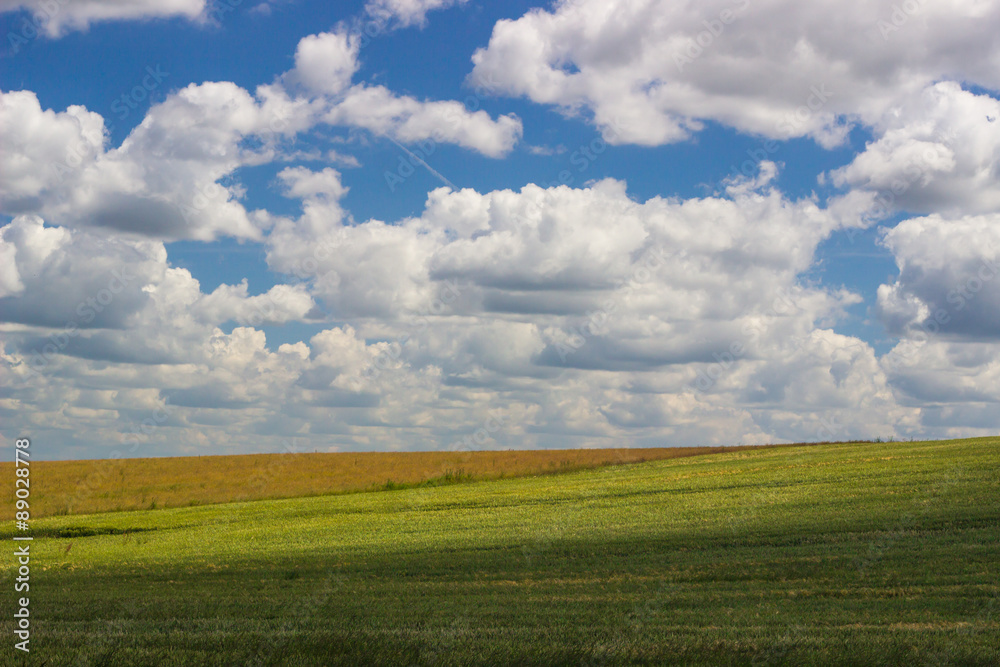 Field on a background of blue sky. 