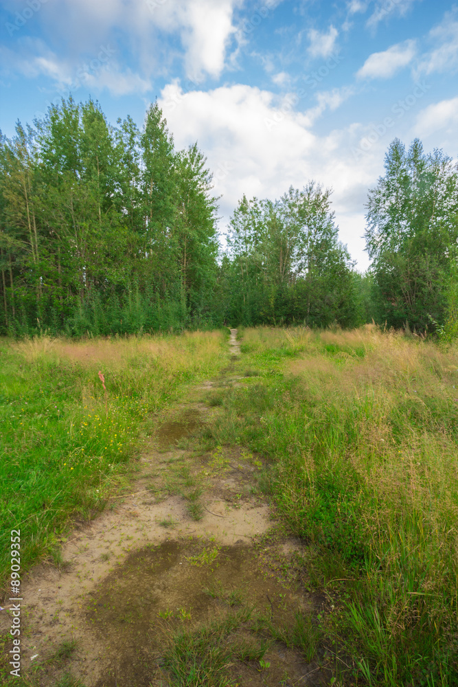 Fototapeta premium Natural landscape