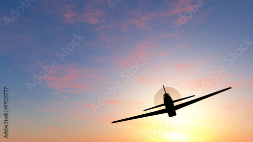 flight in a sunset