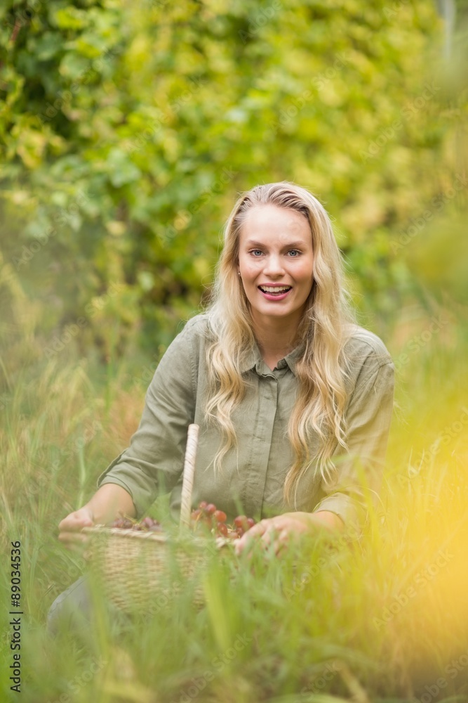 Blonde winegrower holding a red grapes basket Blonde winegrower holding a red grapes basket