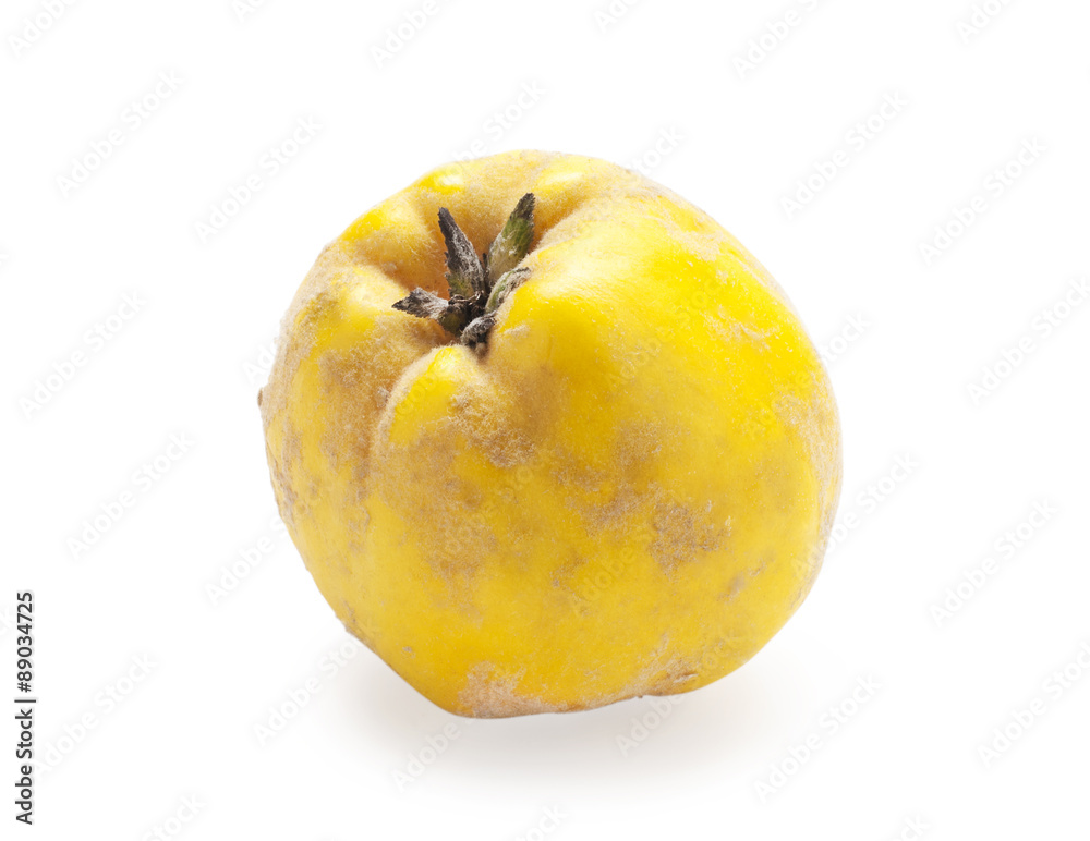 quince fruit on white background 